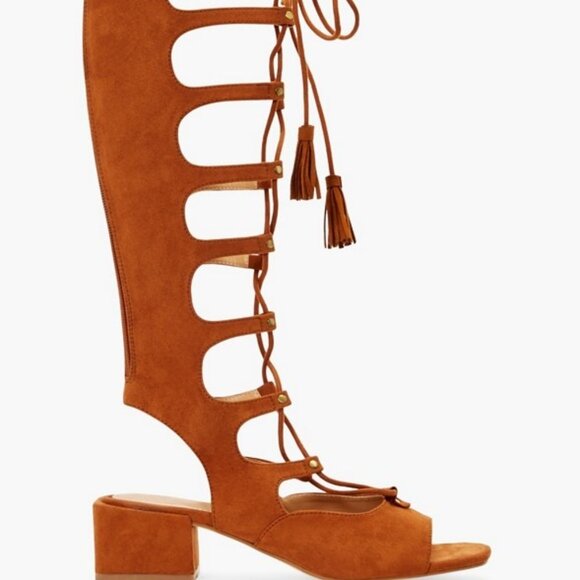 Aurora Tall Gladiator Sandal - Picture 1 of 6
